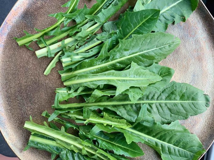 How to cook dandelion greens korean style